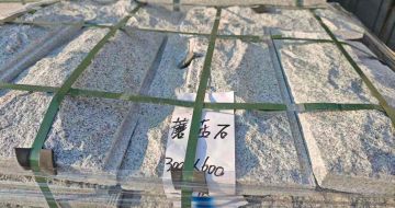 新疆芝麻白蘑菇石，自然面