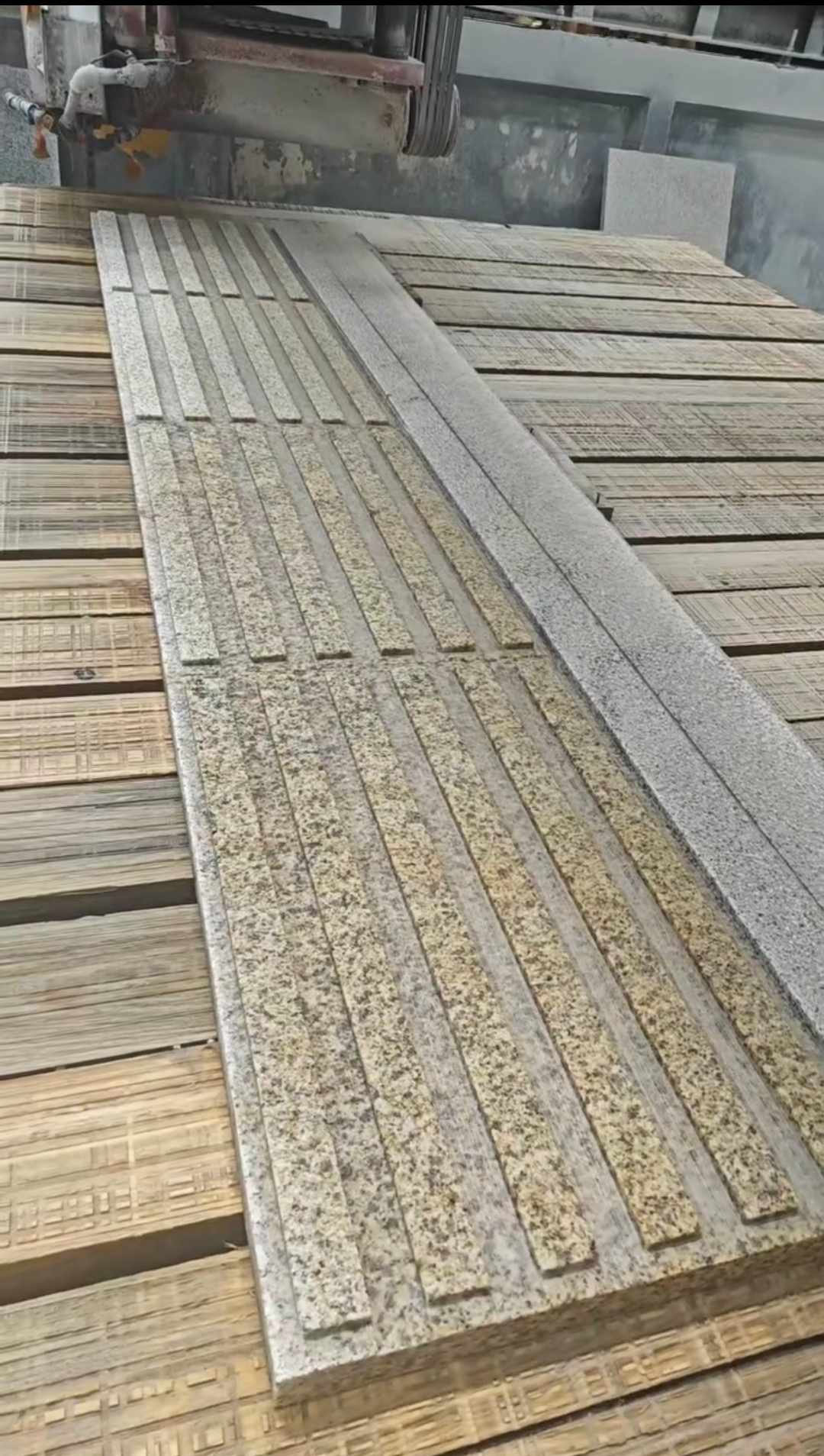 新疆黄金麻盲道石 盲条